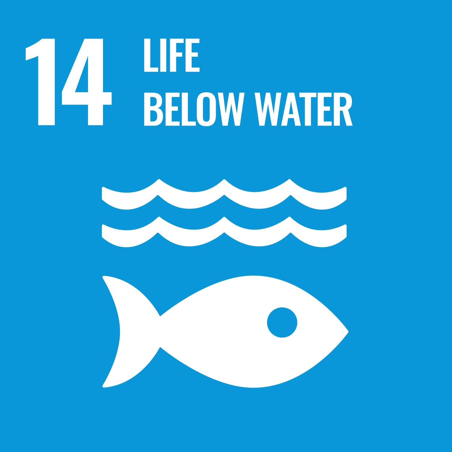 Icon for United Nations Sustainable Development Goal Number Fourteen, Life Below Water.