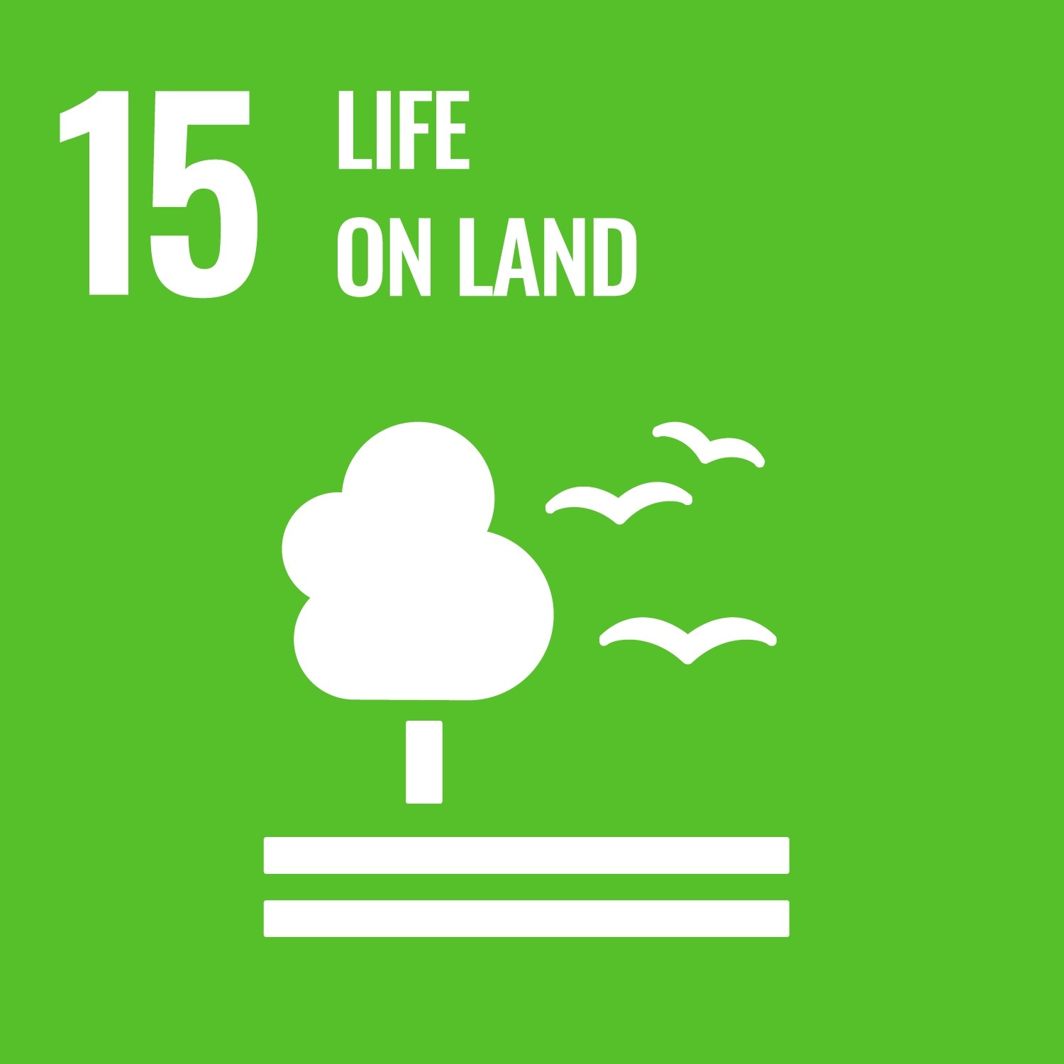 Icon for United Nations Sustainable Development Goal Number Fifteen, Life on Land.