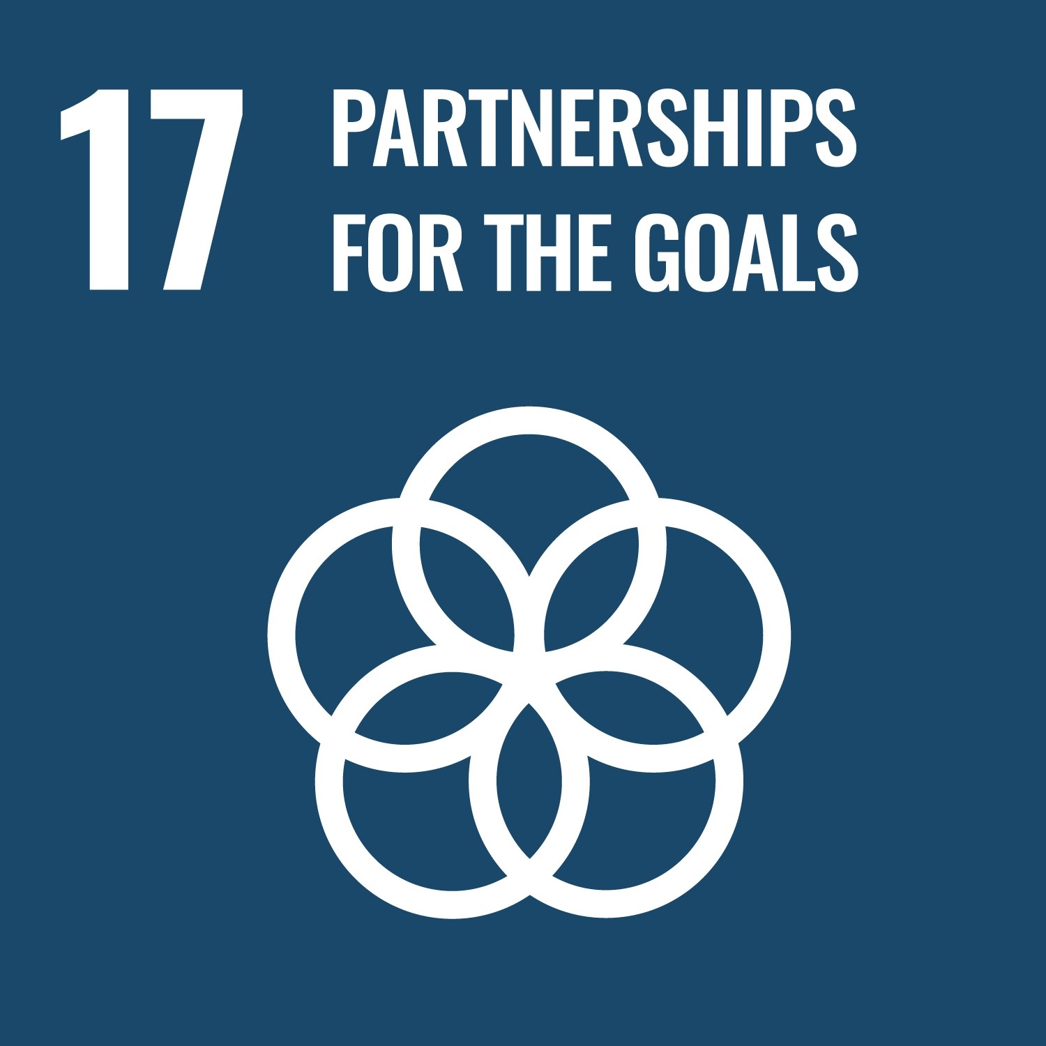 Icon for United Nations Sustainable Development Goal Number Seventeen, Partnerships for the Goals.